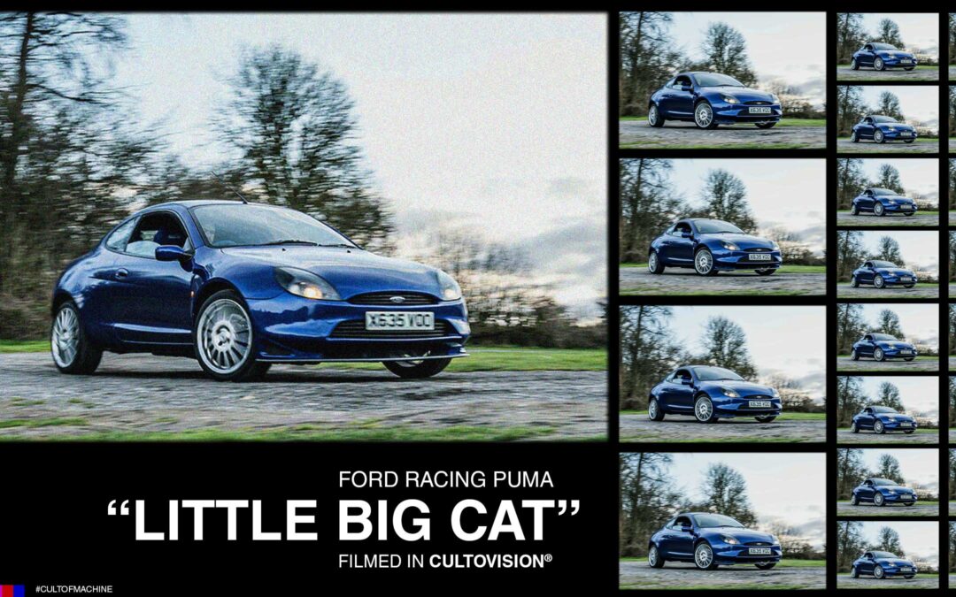 Little big cat: Ford Racing Puma